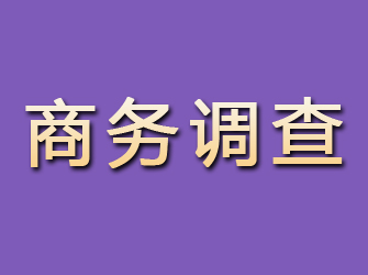 江安商务调查